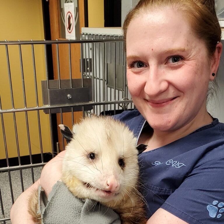 Exotic Pets For Pets Waunakee Veterinary Clinic exotic-pets-for-pets-waunakee-veterinary-clinic